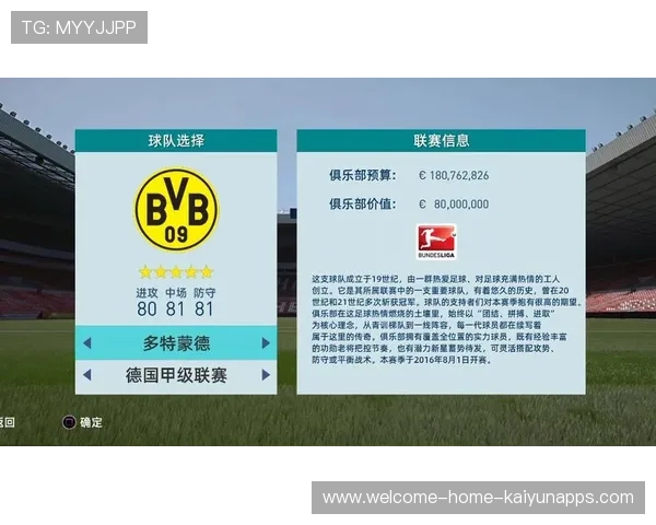 《FIFA》线下职业联赛全线升级,赛事奖金上涨30%,fifa职业联赛一场多长时间